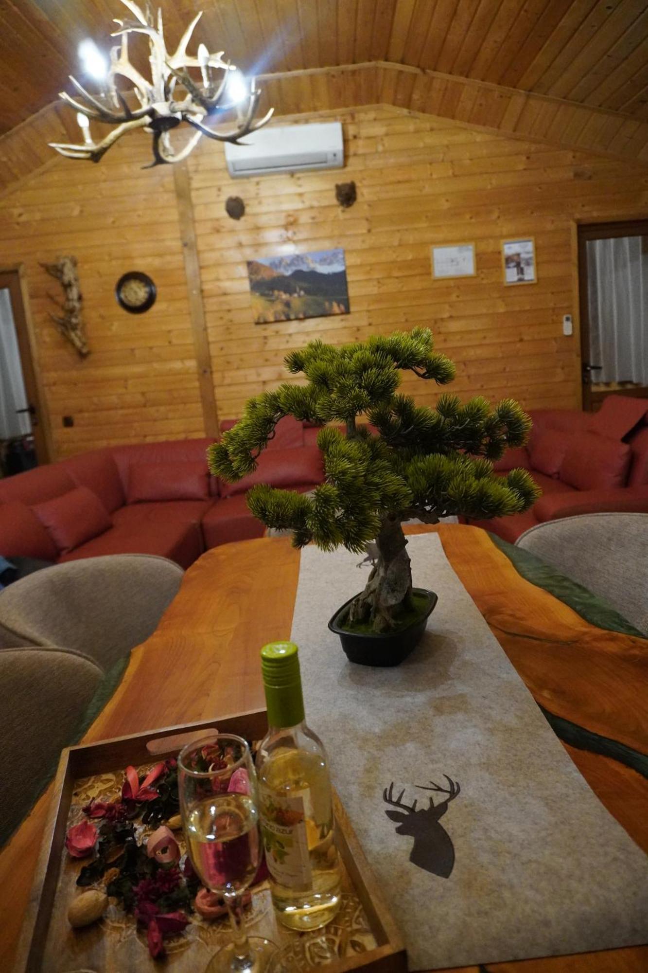 Planinski Polah House 데빈 외부 사진